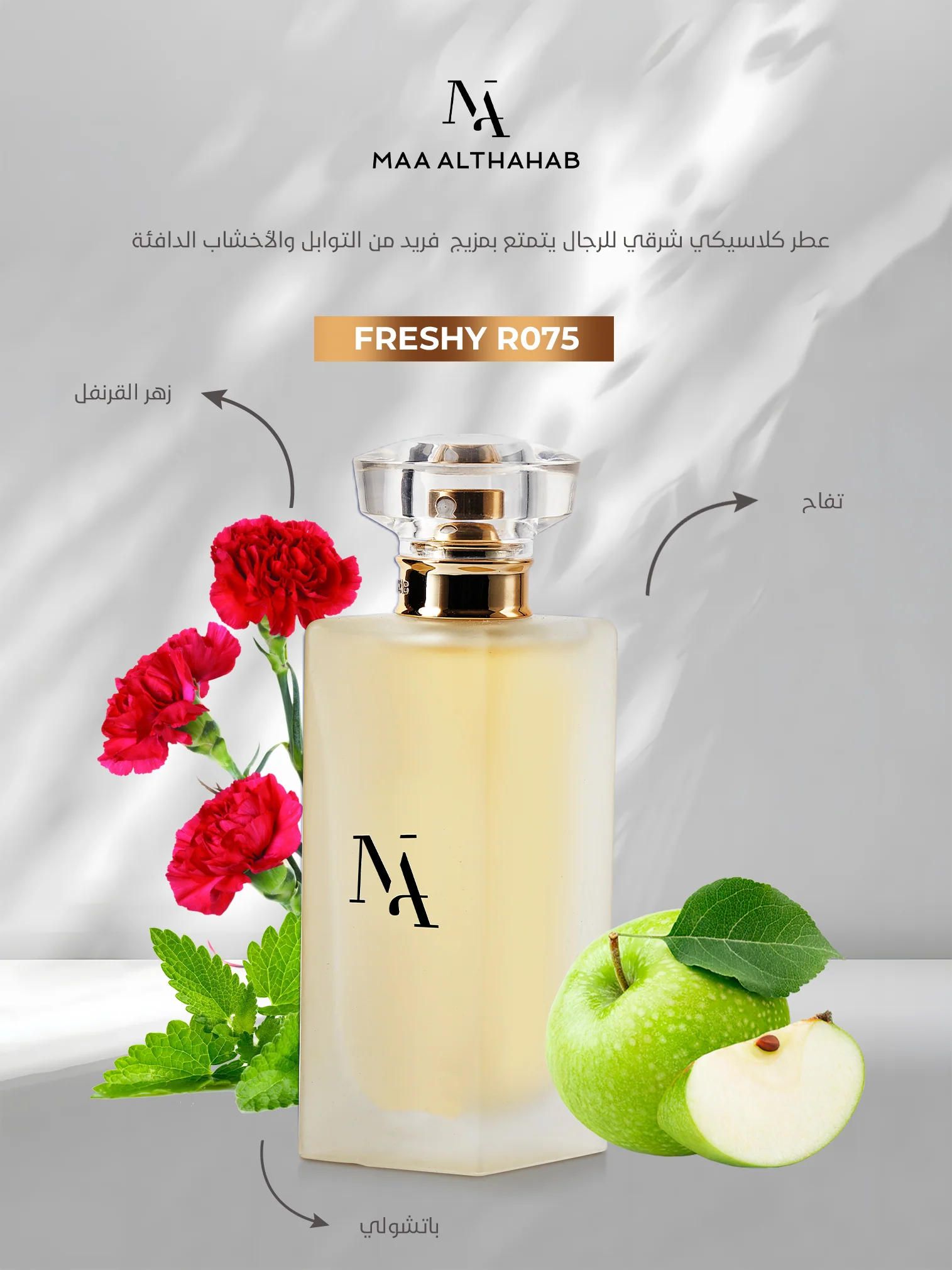 Freshy R075 Inspired by Hugo for Men