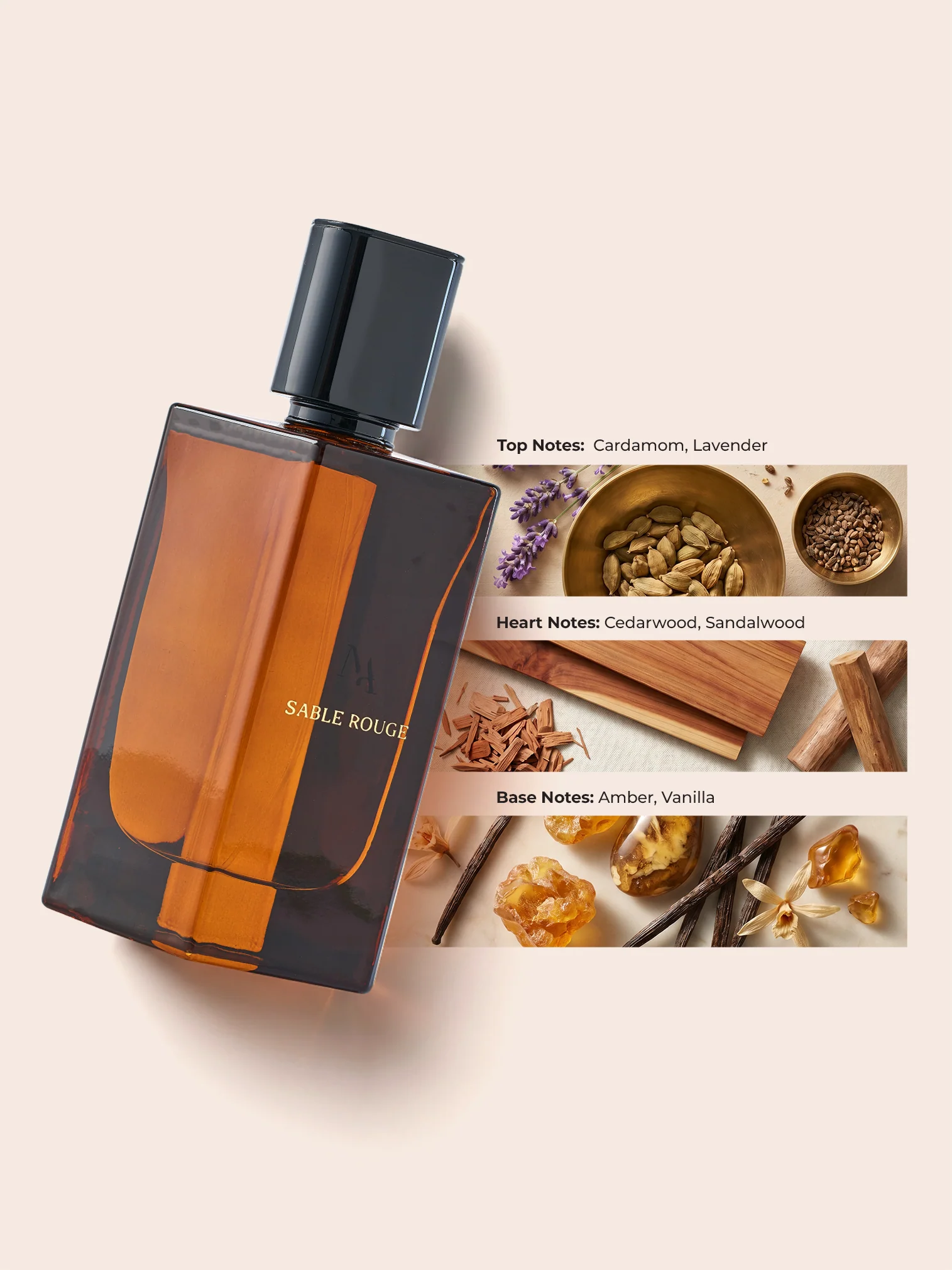 SABLE ROUGE - Image 5