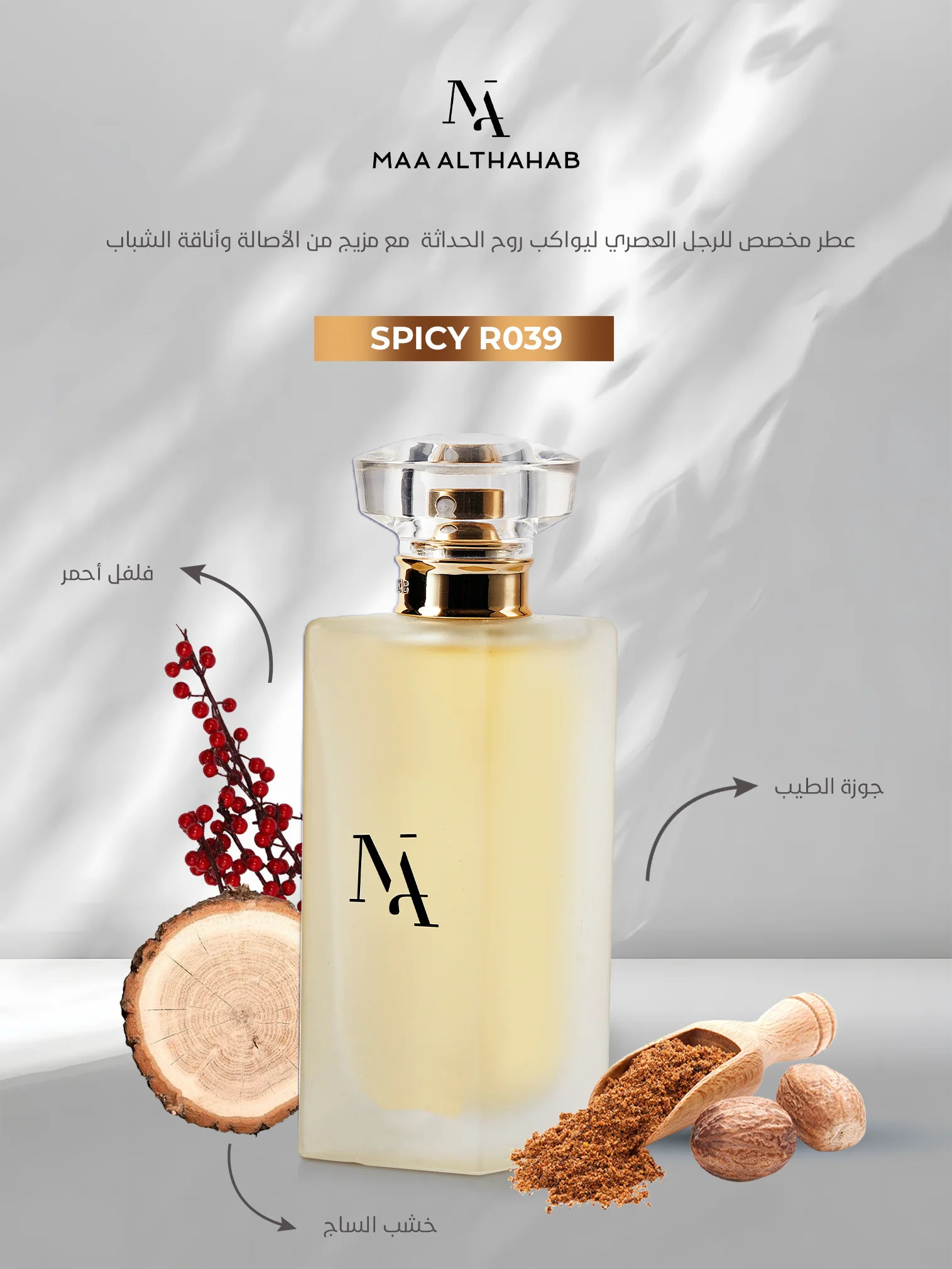 Spicy R039 nspired by Energise by Hugo Boss