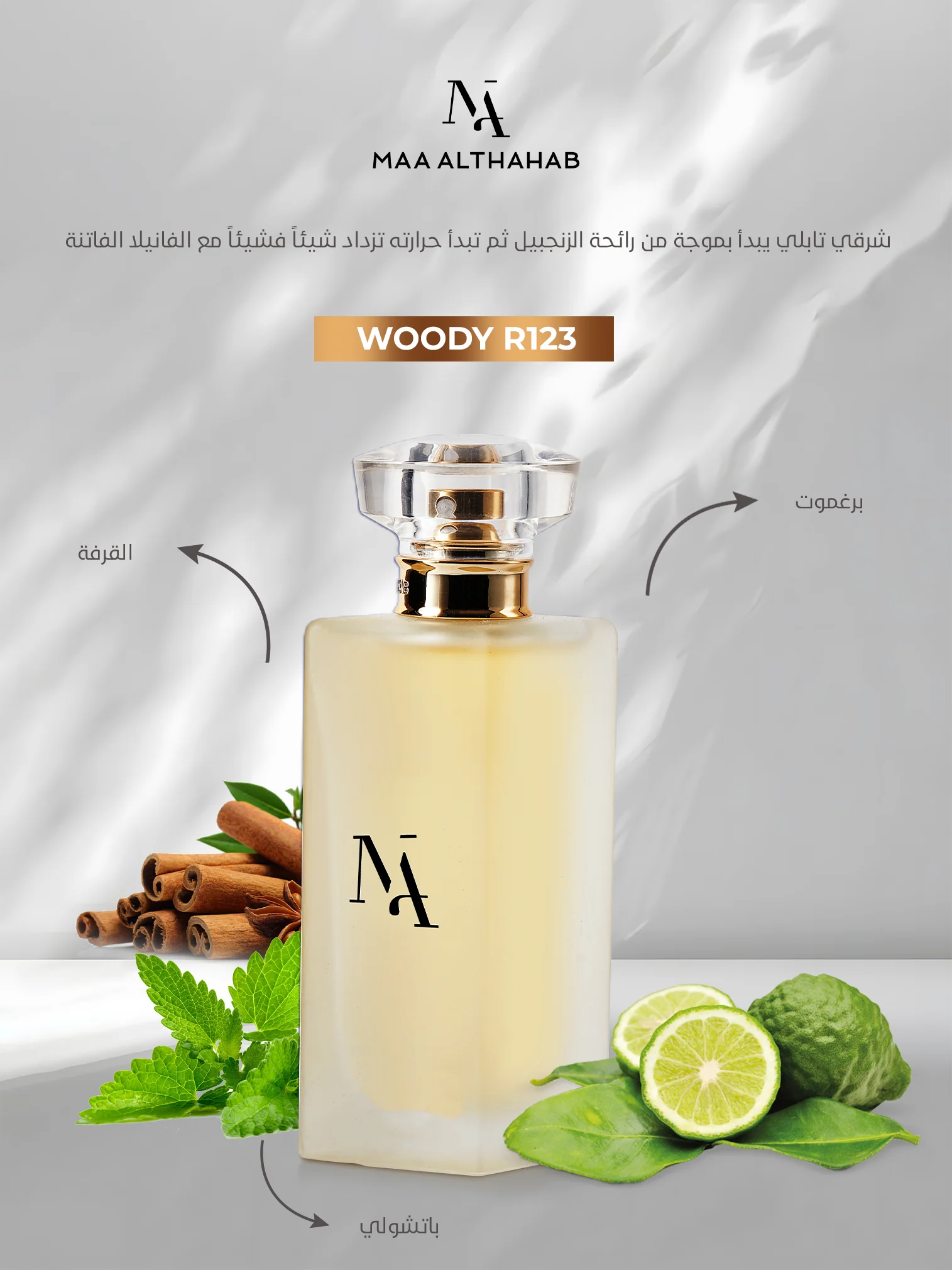 Woody R123 Inspired by Pasha de Cartier for Men